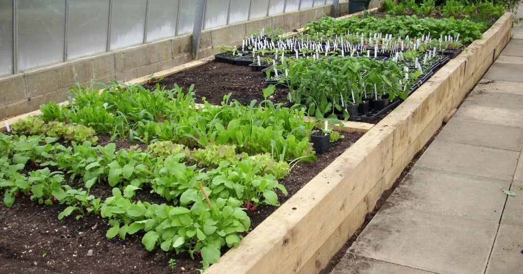 The Best Materials for a Raised Garden Bed