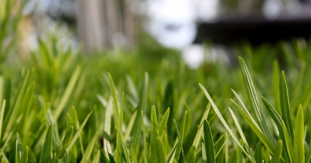 Get the most out of your kitchen and dining room lights
