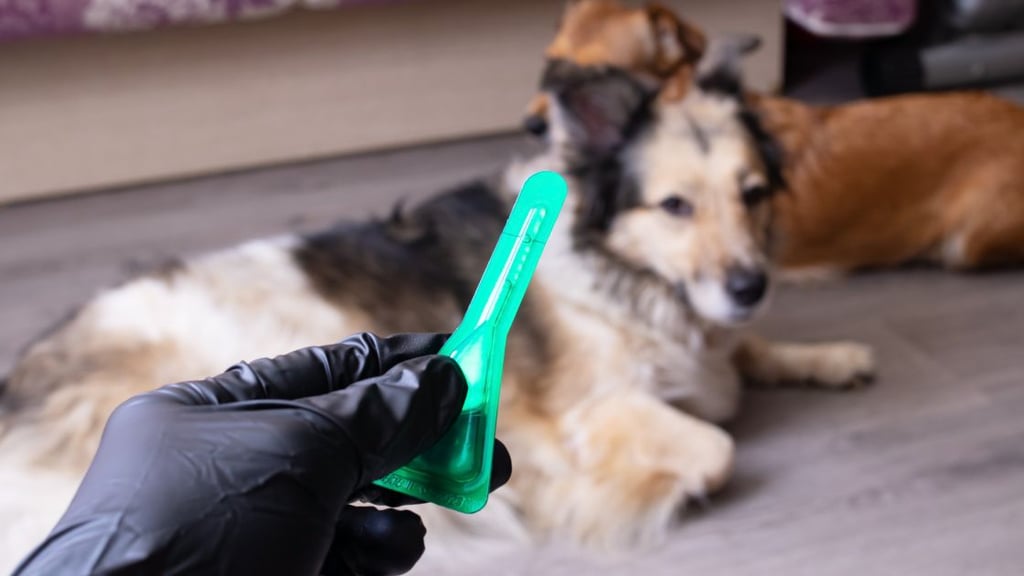 Flea treatment for pets