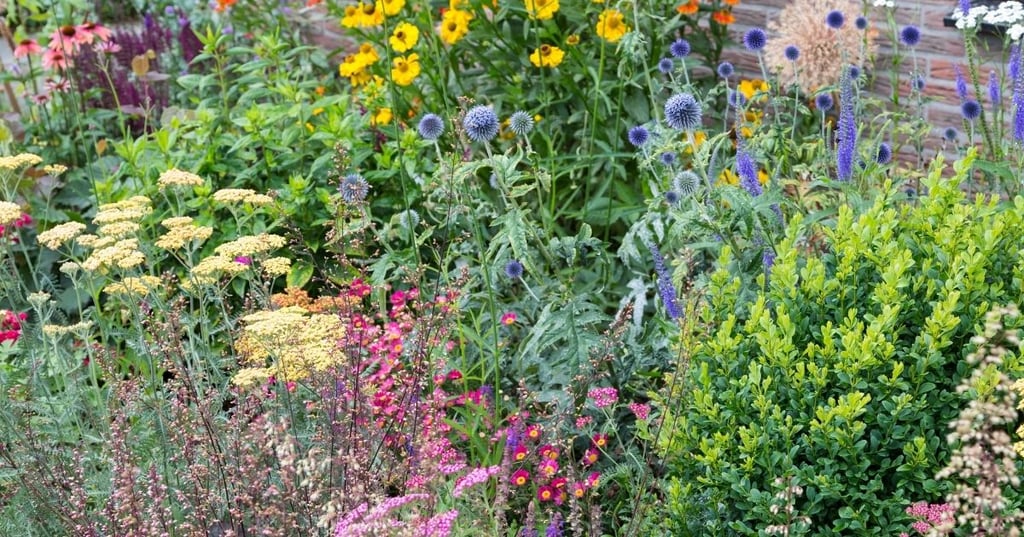 Create a low maintenance landscape with these plants and trees