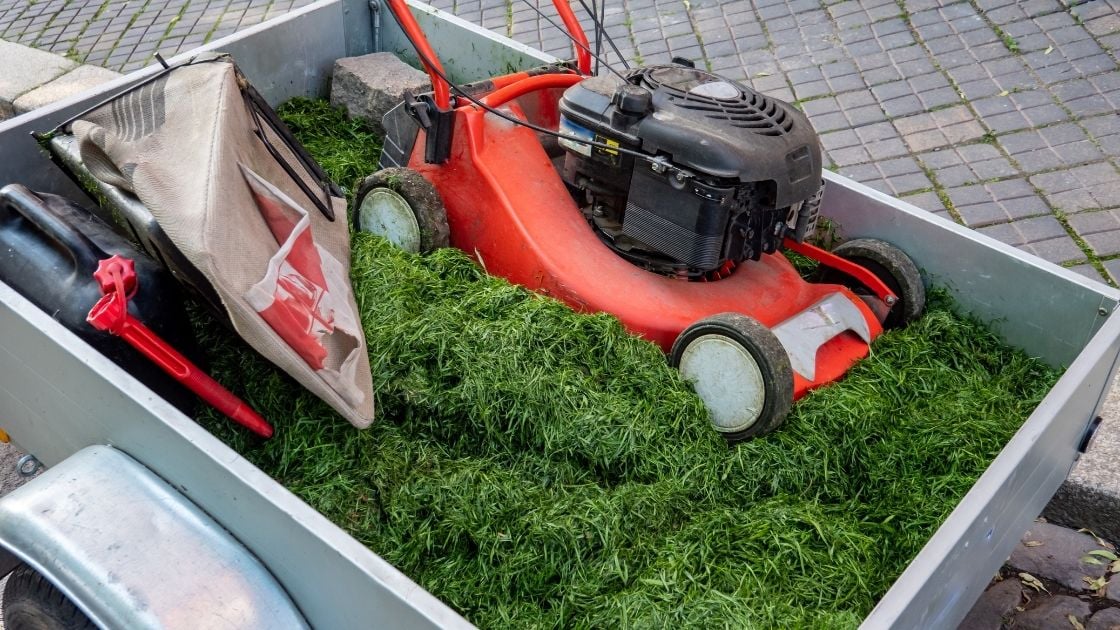 Is It Worth Paying For Lawn Care