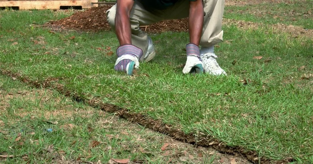 The Best Bathtub Faucets With Hand Showers