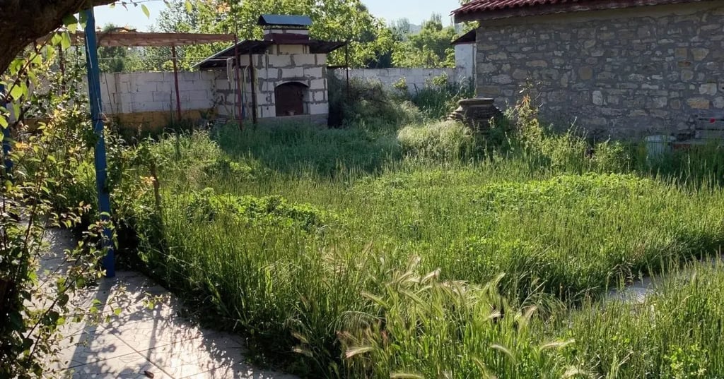 Whitewashing Made Simple