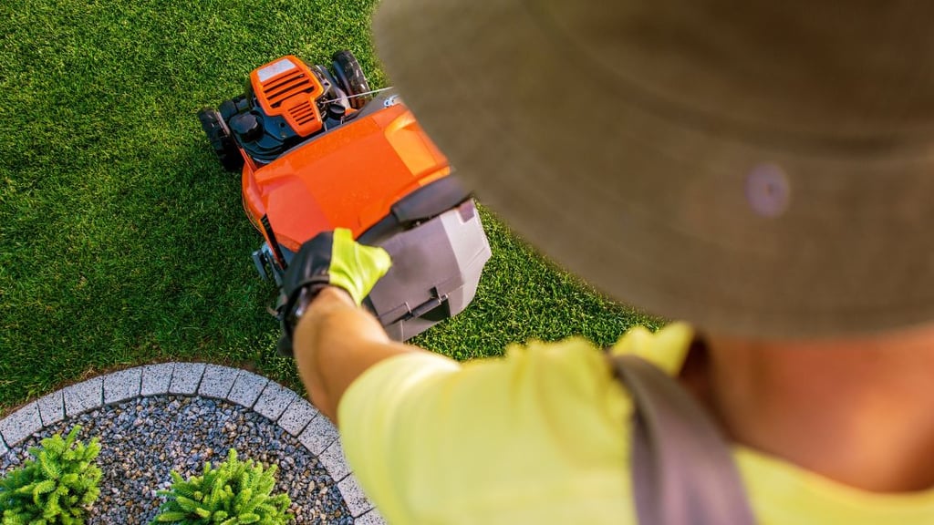 Eco Friendly Lawn Care Practices