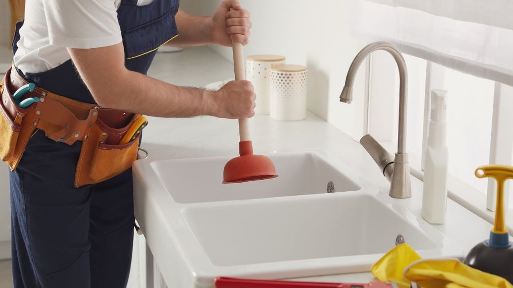 Plumber to fix your smelly sink