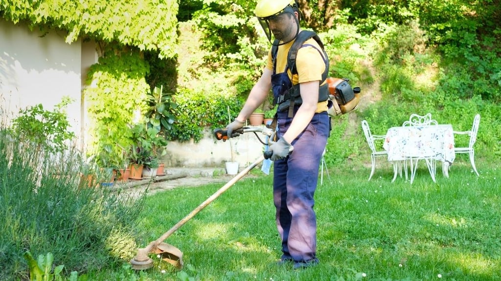 Lawn Care Safety Tips Personal Protective Equipment