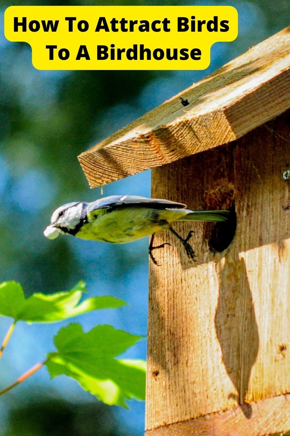 Bring Your Outdoor Kitchen to Life with Recessed Lighting