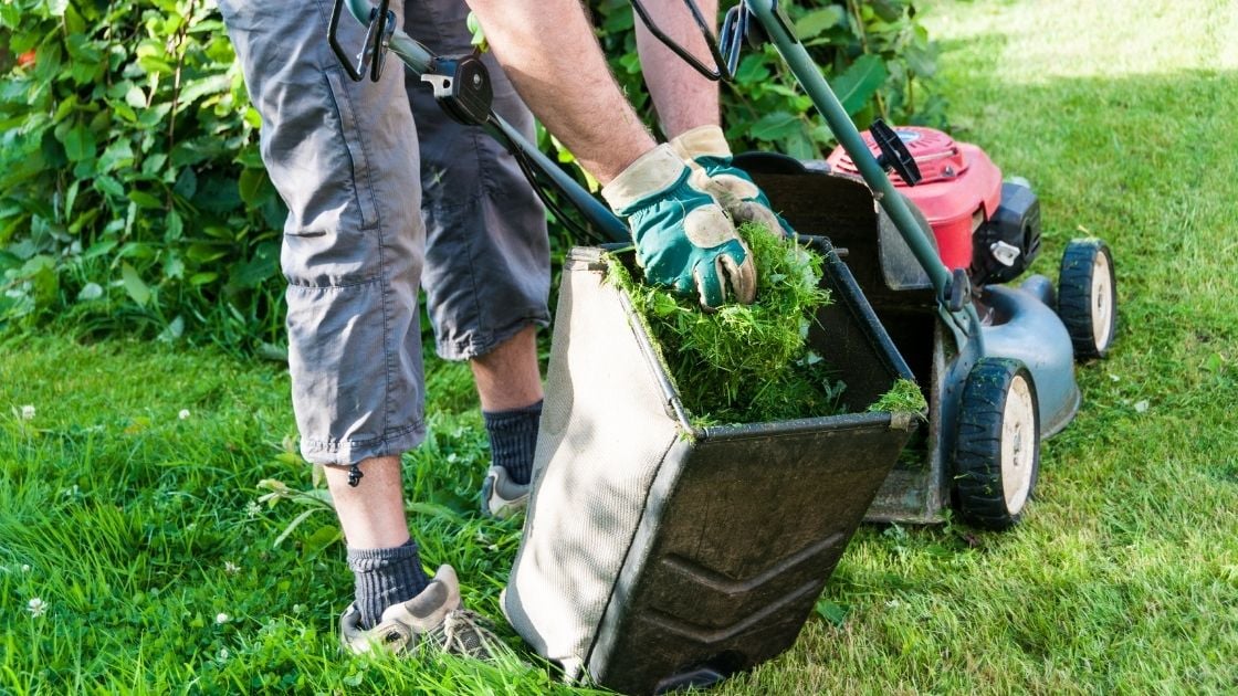 Is It Worth Paying For Lawn Care