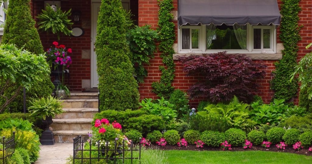 Important Factors to Consider When Landscaping Your Yard