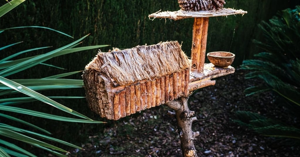 Place the Birdhouse in a Visible Location