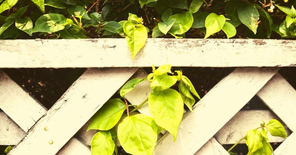 Getting Started with Lattice Panels