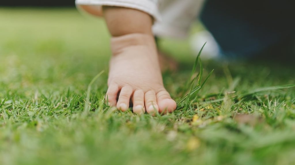 Lawn Care Safety Tips Young Children