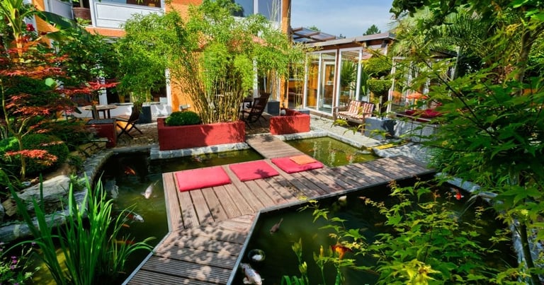 The Koi Fish Conundrum Why are these Fish so Dang Expensive