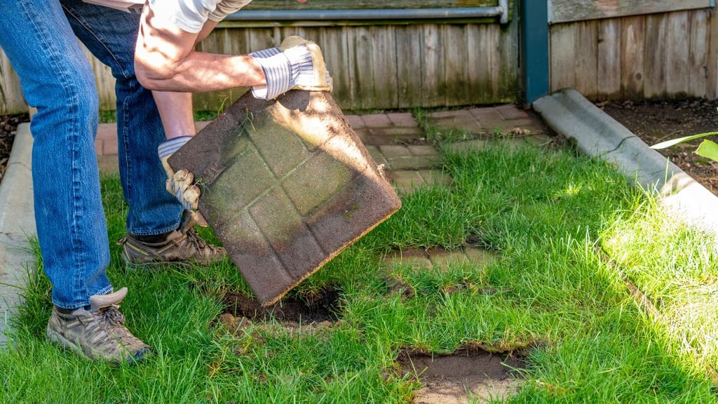 Lifting and Handling Equipment Safely