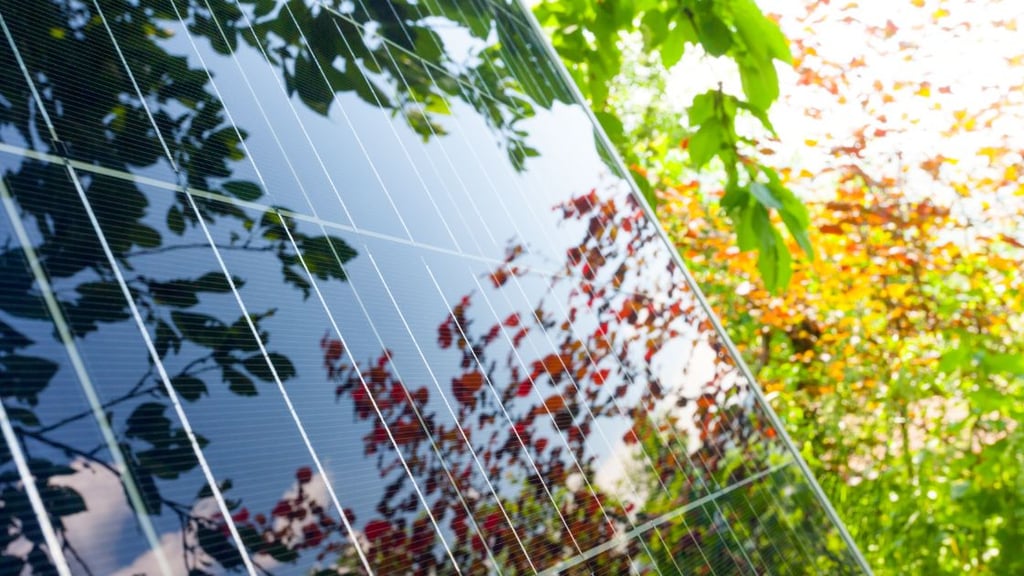 Solar Panel Cleaning Myths and Misconceptions