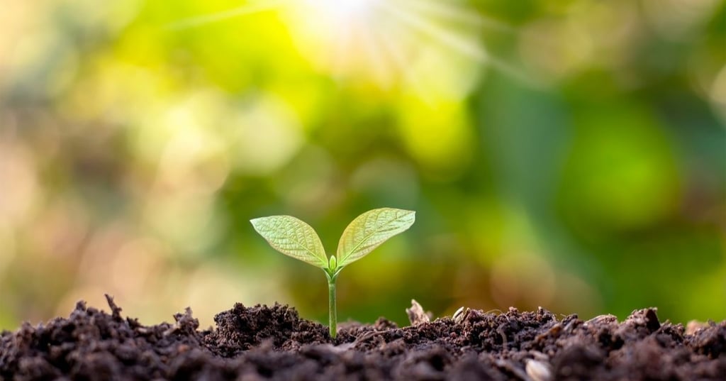 The benefits of cooling a patio