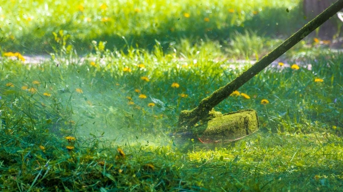 Lawn Care Safety Tips