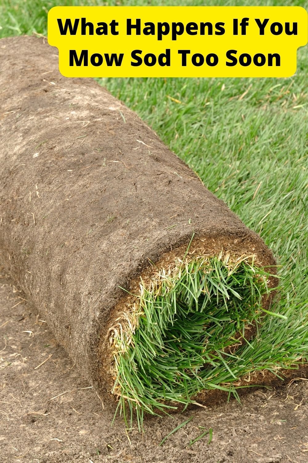 Can you use pea gravel for a patio