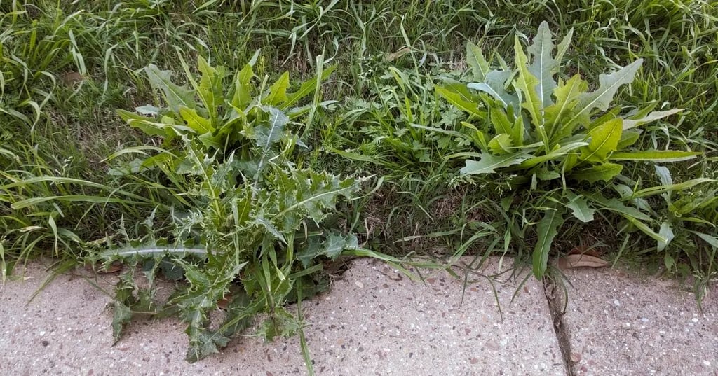 White Natural Stone Fireplace