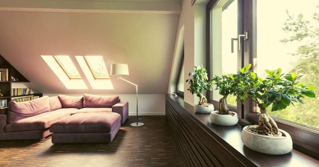 Shed Some Light on Attic Lighting