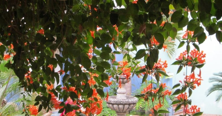 0w5LArn4V637Hm69o7WjPj1h