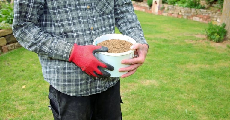 When should I apply organic fertilizer to my lawn