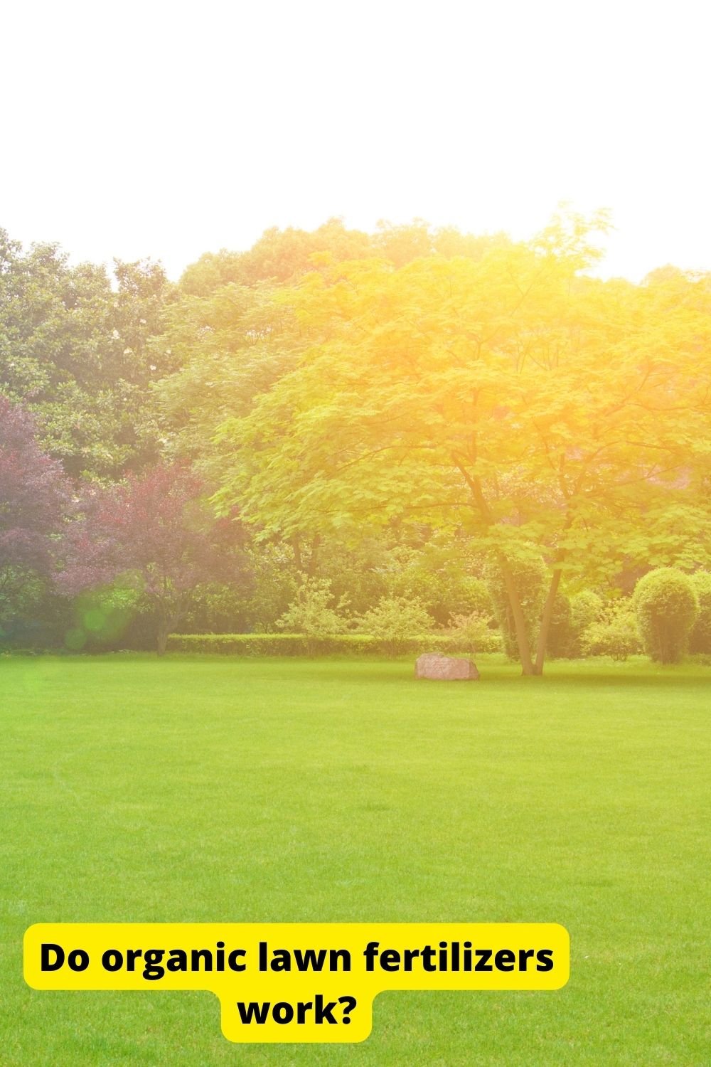 he perfect lighting for your kitchen and dining area