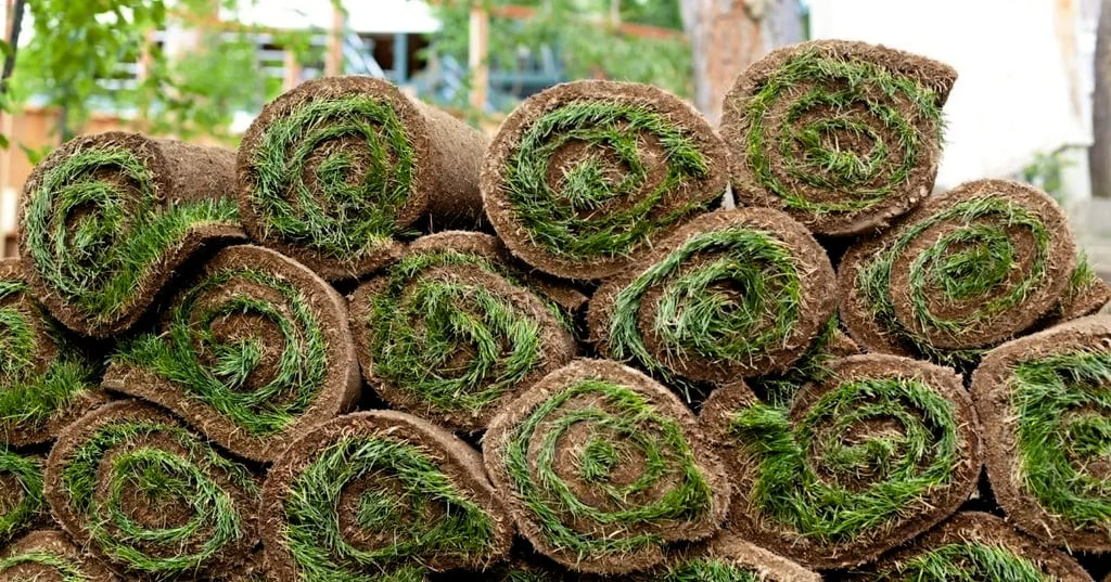 Tips for Experimenting with Different Color Schemes