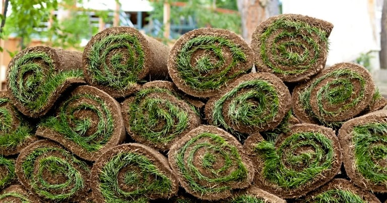 When to Mow New Sod Grass