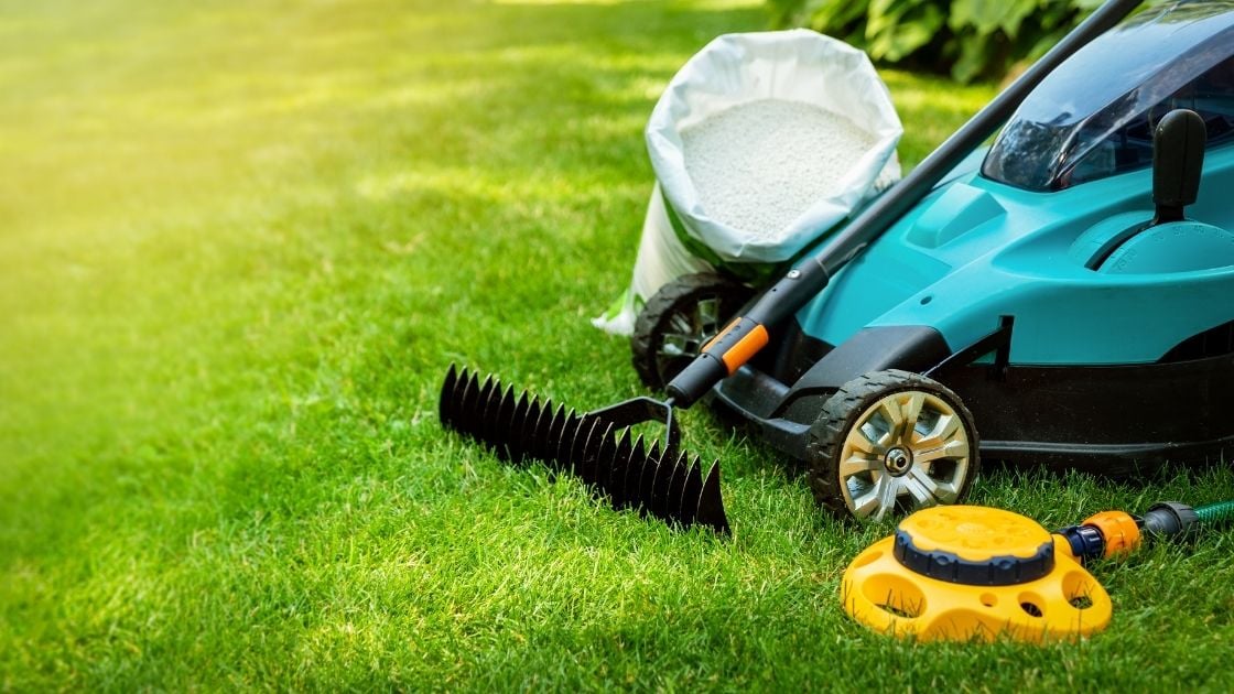 Hiring a Lawn Care Service