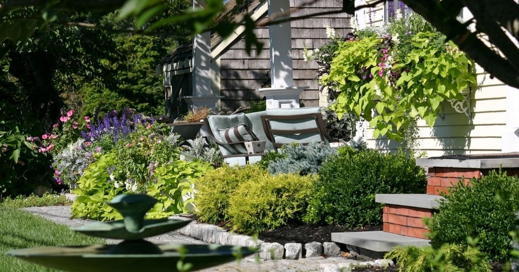 Dont let your low maintenance landscaping become high maintenance