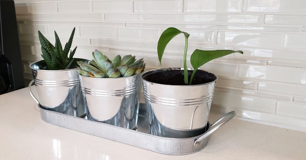 Quartzite Has Its Disadvantages