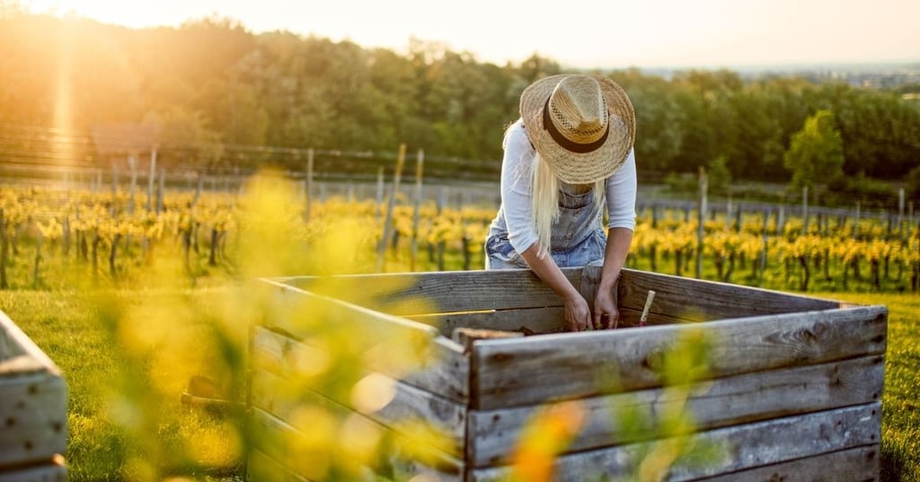 how to line your raised garden bed