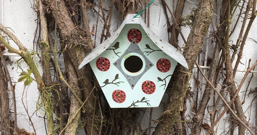 Add Decorations to Express Your Personality