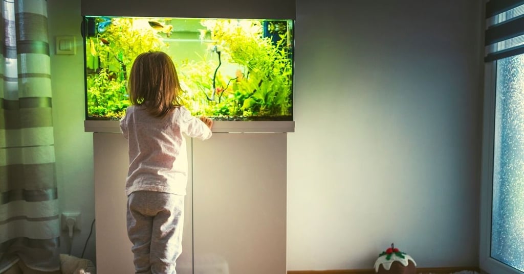 Create an Underwater World with Unique Fish and Other Animals