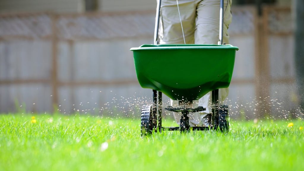Debunking Myths About Natural Fertilizers