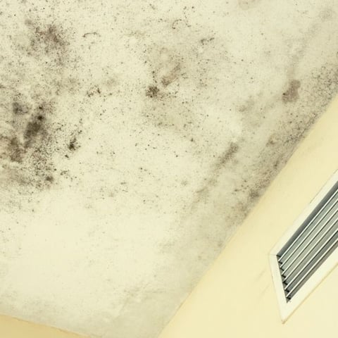 The Toxic Truth About Popcorn Ceilings
