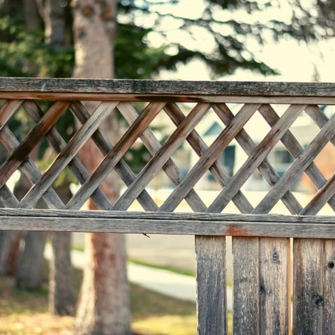 How long will a lattice fence last