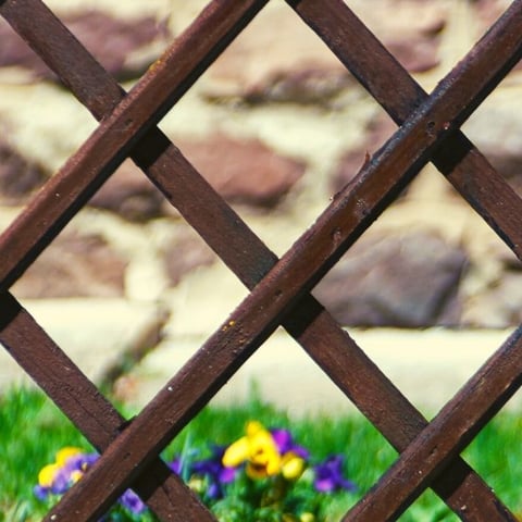 Lattice Fence Ideas