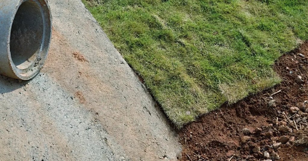 Problems that can occur If you mow sod too soon