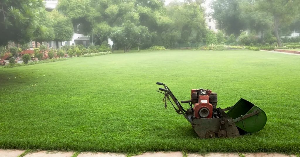 Which Direction to Mow New Sod