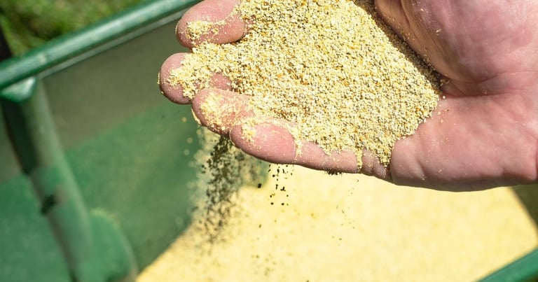 What Is A Good Organic Fertilizer For Your Lawn