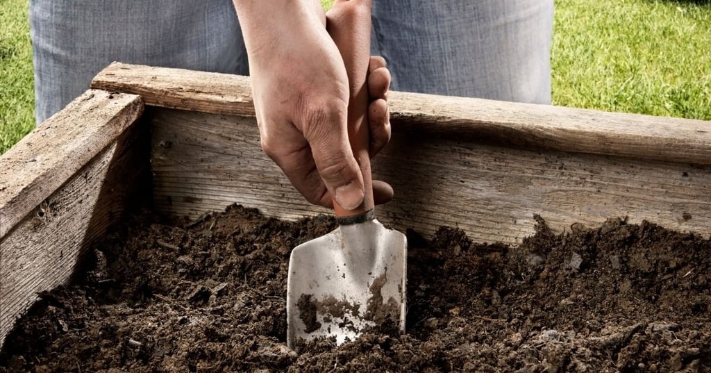 The Benefits of Raised Garden Beds