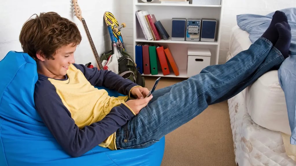Teenage Boy Bedroom Beanbag Chair 1