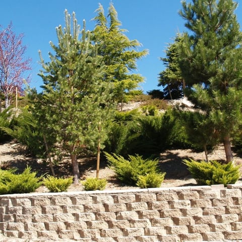 Think Outside the Box Retaining Wall Ideas for a Sloped Backyard 1536×864 1