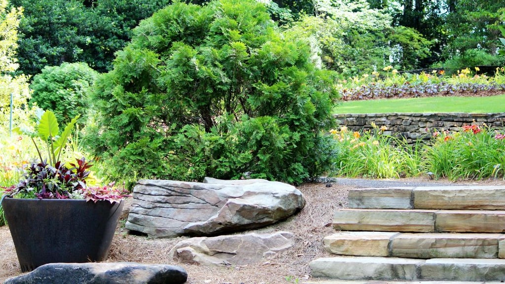 Designing stepped gardens for beauty and utility