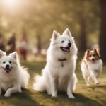 American Eskimo Dog temperament