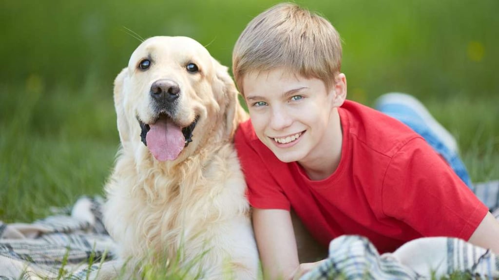 Who Is the Labrador Retriever For