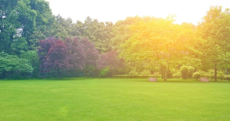 Do organic lawn fertilizers work