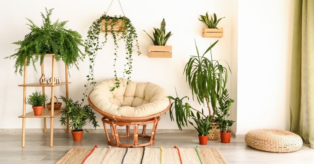 Create a cohesive look with your mamasan chair